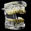 14K Gold Plated Six Open Face Hollow Teeth Grillz Set