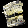 14K Gold Plated Slim Bar Bottom Vampire Fangs Grillz