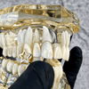 14k Gold Plated Star Open Face Canine Cap One Tooth Single Grillz