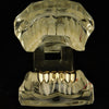 14K Gold Plated Two-Open Vampire Fang Bottom Teeth Grillz
