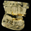 14K Gold Plated Vampire Bar Fangs Grillz Set