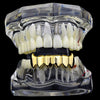 14K Gold Plated Vampire Fangs Bottom Teeth Grillz