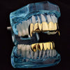 14K Gold Plated Vampire Fangs Plain Grillz Set