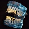 14K Gold Plated Vampire Fangs Plain Grillz Set