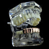 14K Rose Gold Plated Bottom Eight Teeth Grillz