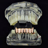 14K Rose Gold  Plated Bottom Vampire Fangs Teeth Grillz