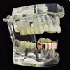 14K Rose Gold  Plated Bottom Vampire Fangs Teeth Grillz