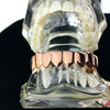 14K Rose Gold Plated Eight Tooth Bottom Vampire Fang Grillz