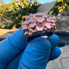 14K Rose Gold Plated over 925 Silver Nugget Ring Brutalist Pinky 6-12