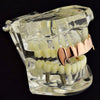 14K Rose Gold Plated Plain Top Teeth Vampire Fangs Grillz