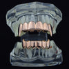 14K Rose Gold Plated Vampire Full Fangs Grillz Set