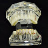 18K Gold Plated CZ Iced Flooded Out Bottom Teeth Grillz