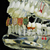 18K Gold Plated CZ Iced Flooded Out Rainbow Bottom Teeth Vampire Fangs Grillz