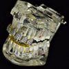 18k Gold Plated Iced CZ 2-Tone Iced Flooded Out Grillz Set