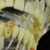 18k Gold Plated Iced CZ Bottom Cross Single Tooth