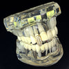 18k Gold Plated Iced CZ Vampire Fang Single Top Tooth Cap