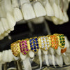18K Gold Plated Iced Flooded Out CZ Rainbow Bottom Grillz