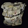 18k Gold Plated Two-Tone Iced CZ Top Teeth Grillz