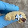 925 Sterling Silver Custom Fangs Double Grillz Set Vampire Fang & Tooth