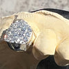925 Sterling Silver CZ Single Cap Iced Flooded Out Custom Grillz (Choose Any Tooth)