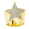 Big Star Iced Ring Gold Finish Flooded Out