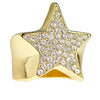 Big Star Iced Ring Gold Finish Flooded Out