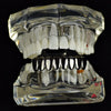 Black Plated Eight Tooth Bottom Teeth Grillz