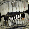 Black Plated Eight Tooth Bottom Teeth Grillz