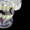 Black Plated Single Tooth Top Vampire Fang Cap