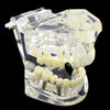 Black Plated Single Tooth Top Vampire Fang Cap