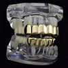 Cartel Gold Finish 6 Top 6 Bottom Teeth Grillz Set