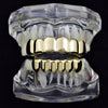 Cartel Gold Finish 6 Top 6 Bottom Teeth Grillz Set