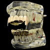 Cartel Gold Finish Vampire Fangs Grillz Set