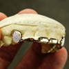 Gold Plated 925 Silver Diamond Dust Two-Tone K9 Canine Front Bar Custom Grillz