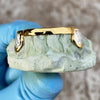 Gold Plated 925 Silver Diamond Dust Two-Tone K9 Canine Front Bar Custom Grillz