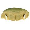 Gold Plated over 925 Silver 2-Tone Diamond Dust Custom Caps Single Grillz