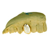 Gold Plated over 925 Silver 2-Tone Diamond Dust Custom Caps Single Grillz