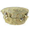 Gold Plated over 925 Silver 2-Tone Diamond Dust Custom Caps Single Grillz