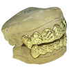 Gold Plated over 925 Silver Diamond-Cut Dust Vampire Fangs Custom Grillz