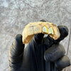 Gold Plated over 925 Silver Double Side Canine Custom Grillz