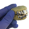 Gold Plated over 925 Silver Two-Tone Diamond-Cut Custom Grillz