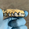 Gold Plated over 925 Silver Two-Tone Diamond-Dust Custom Grillz