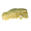 Gold Plated over 925 Silver Two-Tone Diamond Dust Custom Vampire Fangs Grillz