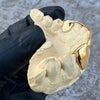 Gold Plated over 925 Sterling Silver Canine Slim Front Bar Custom Grillz