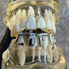Life Silver Tone Bottom Teeth Grillz