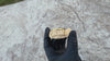 Gold Plated over 925 Sterling Silver Canine Slim Front Bar Custom Grillz