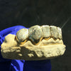 Real 10k Gold Full Diamond-Dust Custom Teeth Grillz