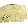 Real 10K Gold Open Face Canine Custom Tooth Cap Single Grillz