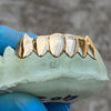 Real 10K Gold Vampire Teeth Fangs Custom Grillz