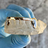 Real 10K Solid Gold Diamond Dust Two-Tone Canines Front Bar Custom Grillz